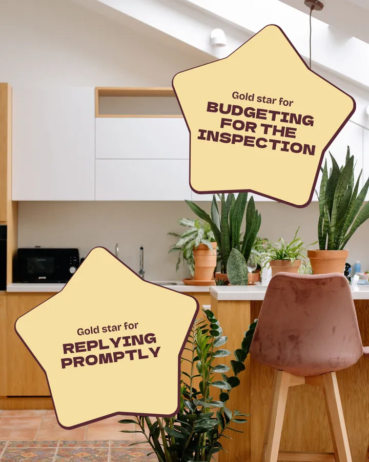 Two gold star stickers over a bright kitchen with wood cabinets, potted plants and a blush bar stool. Gold star for budgeting for the inspection. Gold star for replying promptly.